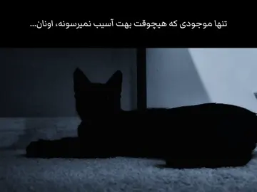 Ixxx core:... ‌ ‌ #foryou #فوریو #فوریوپیج #シ #cat 