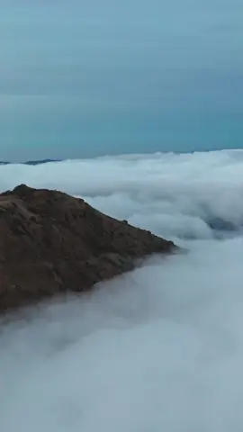 #CapCut 
