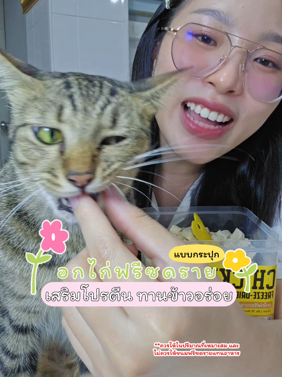 ขนมอกไก่ฟรีซดราย ให้เหมี่ยวเหมียวทานครั้งแรกติดใจมาก😋💗🐱 #อกไก่ฟรีซดราย #ขนมแมว #ฟรีซดรายแมว #แมวน่ารัก #ทาสแมว 