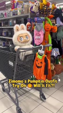 🎃 Will the pumpkin outfit actually fit Zimomo?! ✨ We hit Burlington for his Halloween fit, This little guy is officially READY for spooky season 🍂👻 #Labubu #Zimomo #HalloweenVibes #PumpkinFit #PopmartHalloween