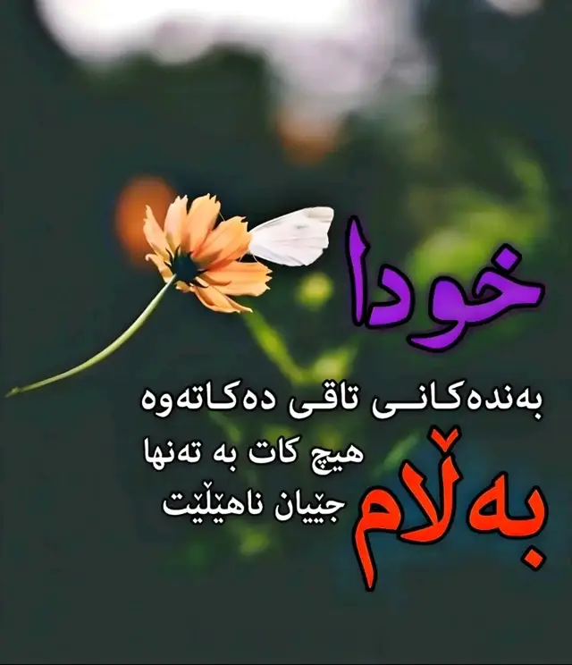 #هەوولیر_سلیمانی #کەرکووک #🥺💔 #