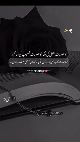 Bilkul💔🥀#🥺💔🥀🎼🎼😭😔🎼 