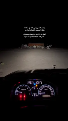 #لايك_متابعه_اكسبلور #لايك_متابعه_اكسبلور_تعليق_مشاركة_كسبلور #لايك_متابعه_اكسبلور_ #لايك_متابعه_اكسبلور_ 