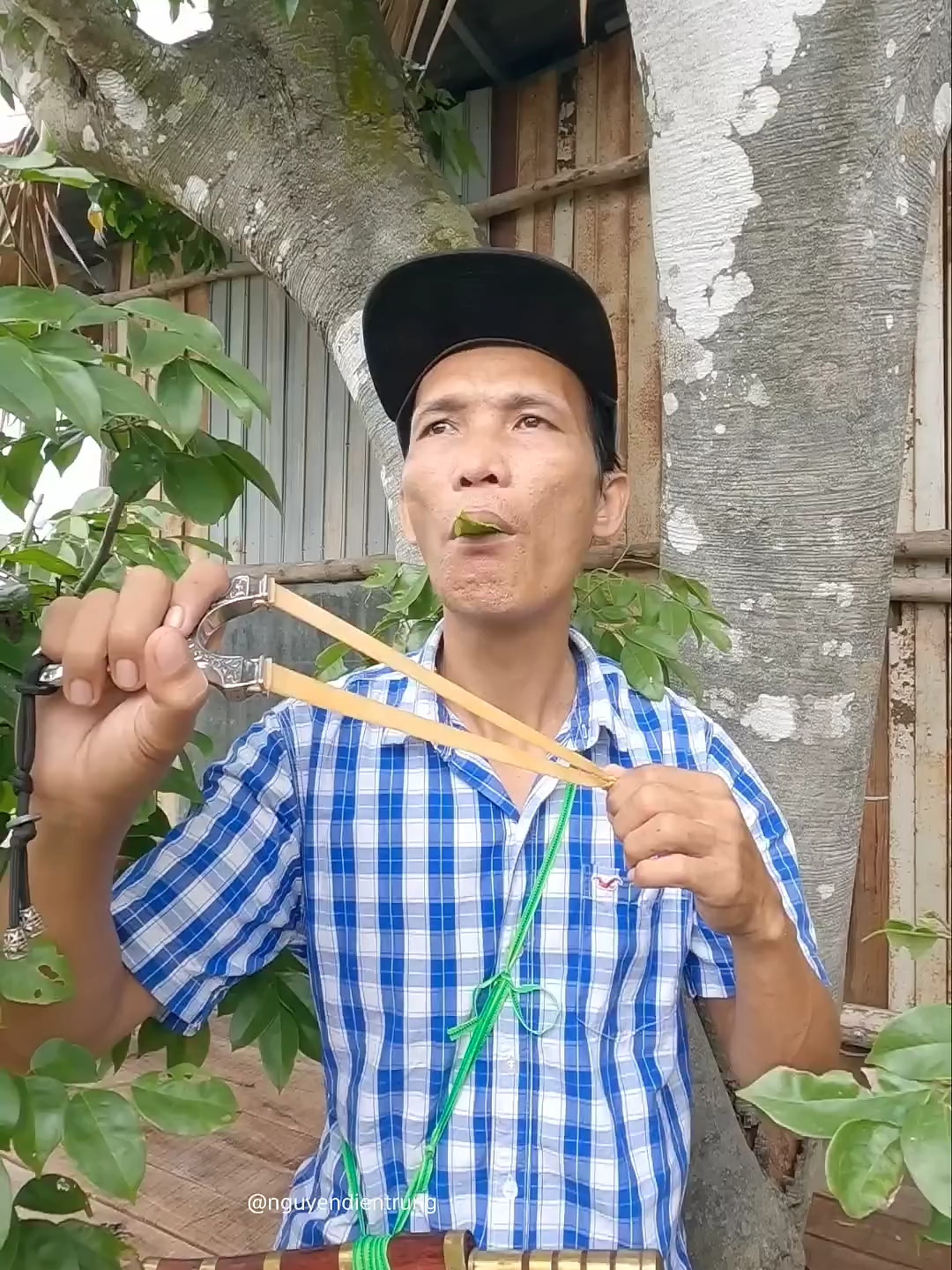 #entertainment #birdsound #shorts - Nguyễn Điền Trung