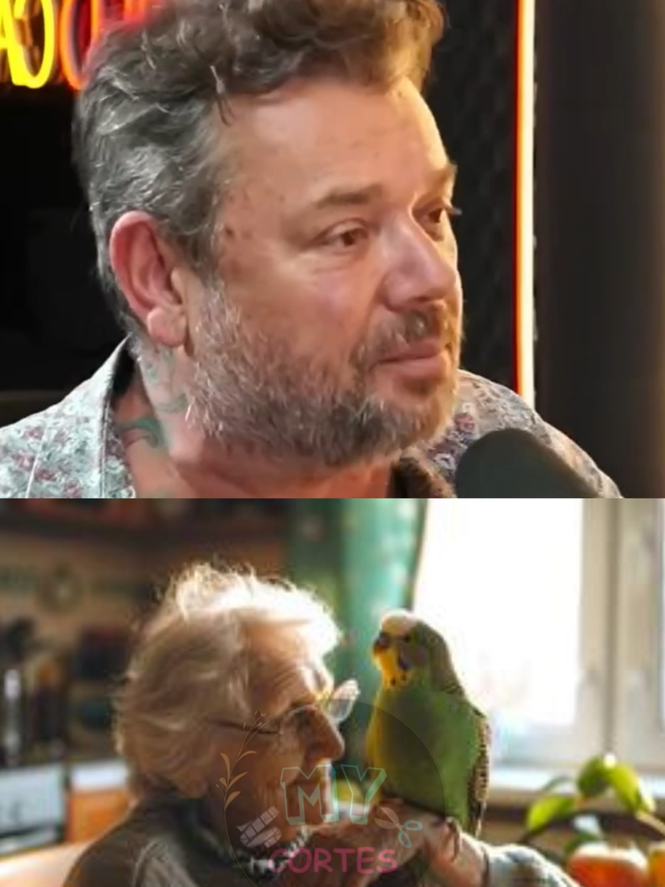 Papagaio da NATUREZA x papagaio da VOVO🦜👵 #redcast #cortes #shorts #podcast