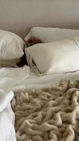 the sleepy wobble😂 