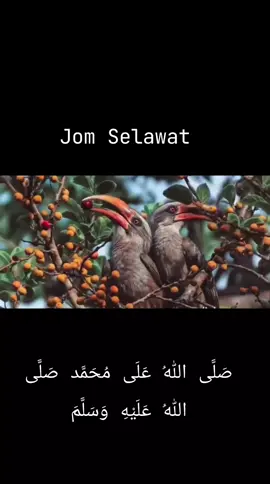 #jomselawat  #selawatjibril #segalapujibagiallah  #pemandanganalam 