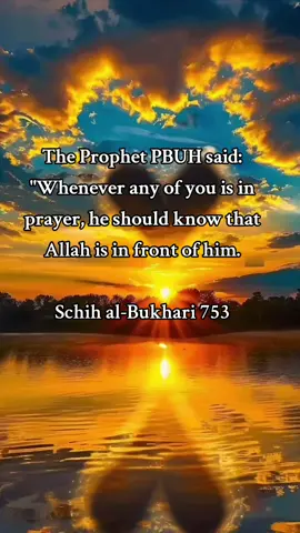 Ameen ❤️ 🤲 ❤️  #deenoverdunya #ummah #islamic #fyp #foru 