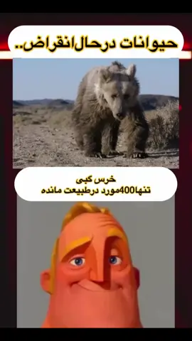 دلیل این حیوانات در حال انقراض چیه؟ #strange #همهچیدون #دانستنیهای_جالب #فارسی #دانستنیها #strange #همهچیدون 