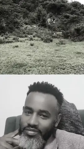 #duet with @ፋሬስ🌪 #fyp 