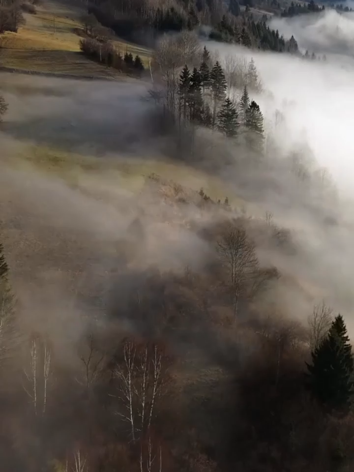 Село №27 — Ярок   #Ярок #Закарпаття #Carpathians #VillageMystery #ЗакарпатськіТаємниці #ExploreUkraine #VillageLegends #МістикаКарпат #GhostStories #viralukraineg