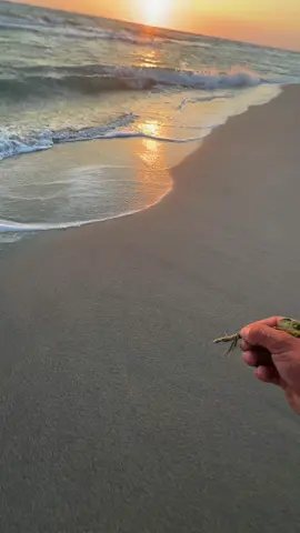 منشن،،،   |  شاهد للنهايه ☀🫴،،، l  🫴