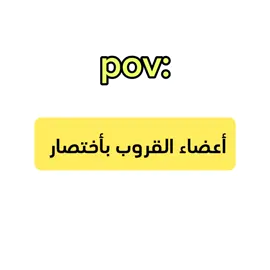 فرع الأنمي 😂🖐🏻 #anime #edit #foru #fyp #fy 