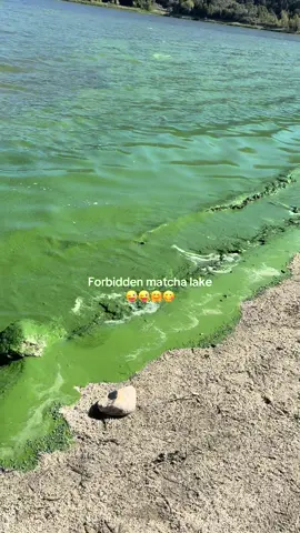 Body matchaaaaa 🐄 #matcha #lake #fyp #foryou #minisqule 