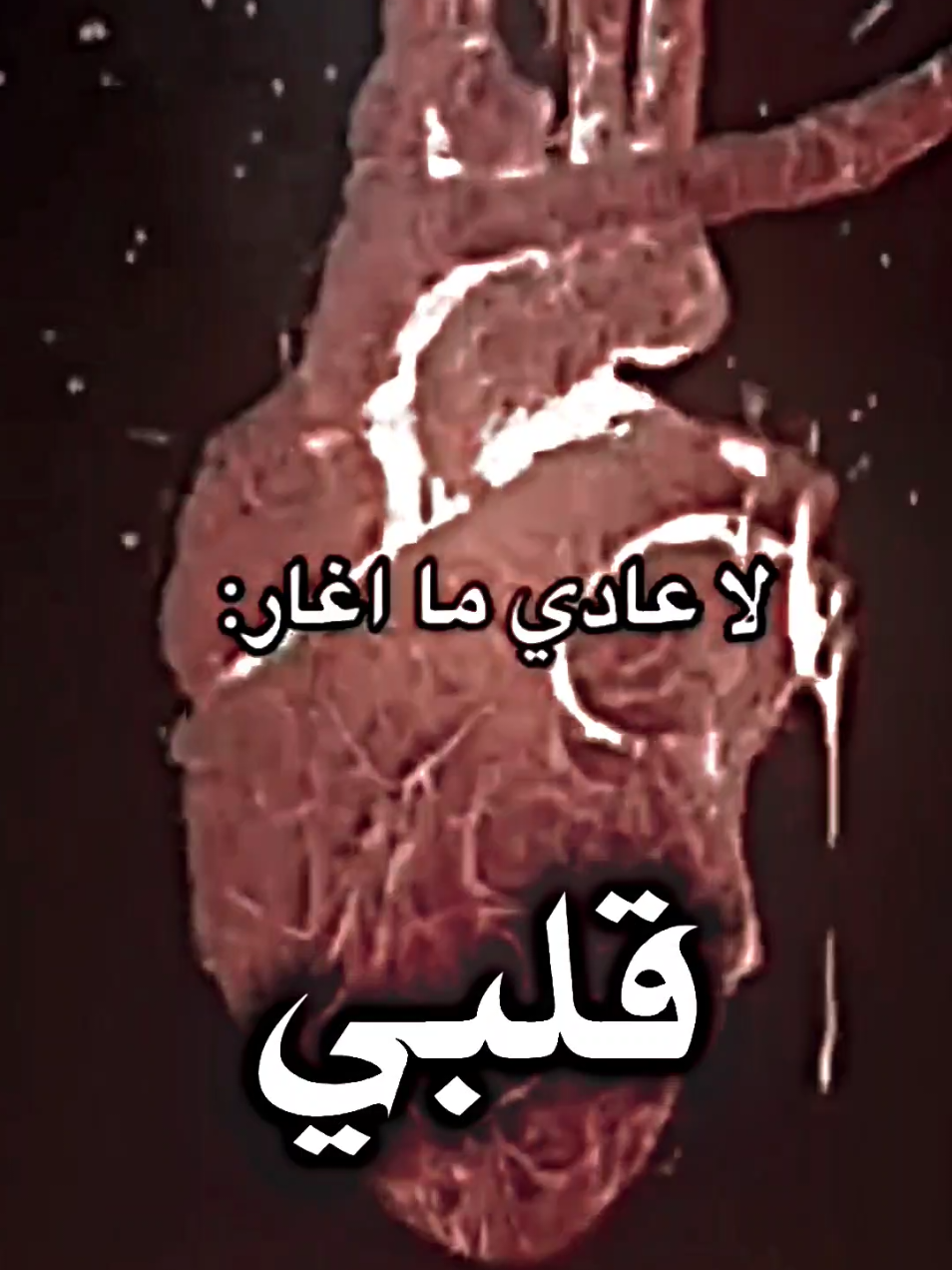 لا عادي ما اغار #منشن_للحب♥️ #تصميمي❤️ #منشن🥺💞🦋 #فيديو #صور 