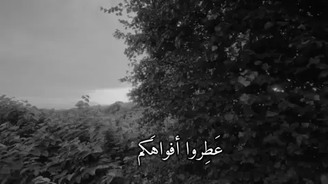 الليله جمعه أفضل الاعمال هي الصلاة على محمد وآل محمد 🤍 #اللهم_صل_على_محمد_وآل_محمد  #ستوريات#العراق#fyp 
