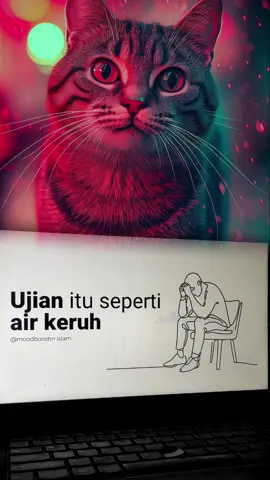 #CapCut #catlover #radiotiktok #abahkoeradio #fyppppppppppppppppppppp 