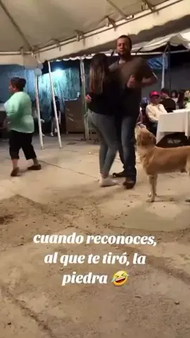 El amigo nunca se olvida  #amigos #fiel #protection #viral #contenido 