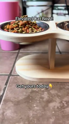 Get your city an elevated cat bowl! If you have a big cat like me- this is more comfortable than a bowl in the floor! #cats #catbowls #elevate #cattok #petbowl 