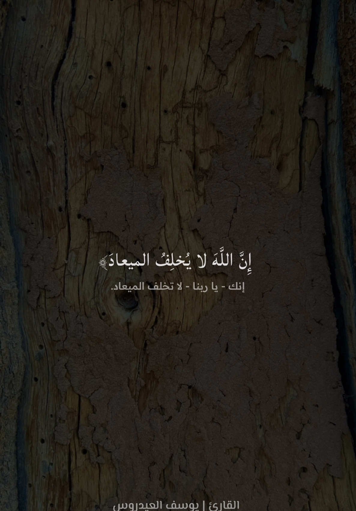 اللهم امين 🤲🏼🤍 #يوسف_العيدروس #سورة_ال_عمران #quran_alkarim #التفسير_المختصر #اللهم_امين 