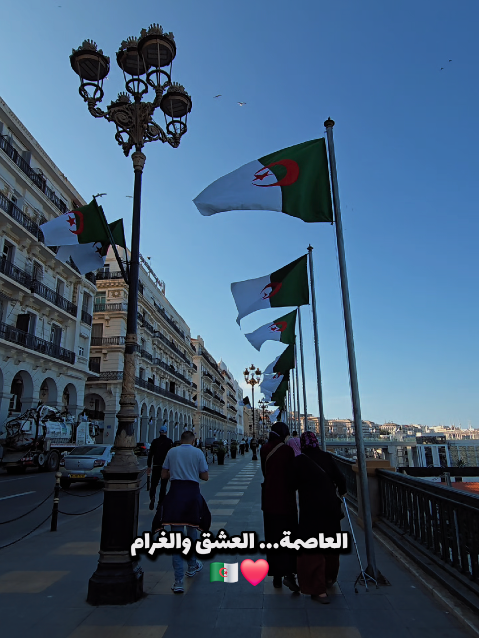 💚❤️🤍🇩🇿 #corners_of_algeria #alger #algeria #tiktokarab #مشاهدات_تيك_توك 
