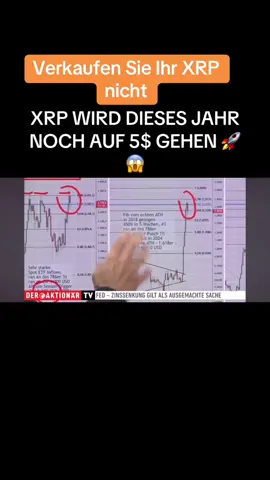 Großer Bullrun im November #xrp #xrpupdate #cryptonews #foryoupage #xrpnews 