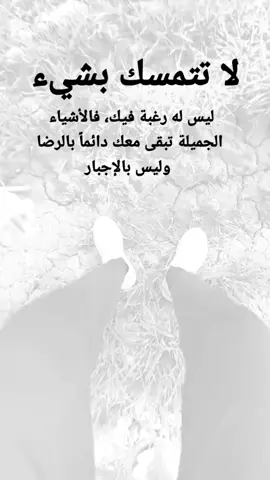 #مقتبسات من الحياة. حين ترى التراب يغطي أغلى ما لديك وقتها ستدرك كم تافهة هذه الحياة#كلمات_من_القلب #اكسبلورexplore #ypシ 