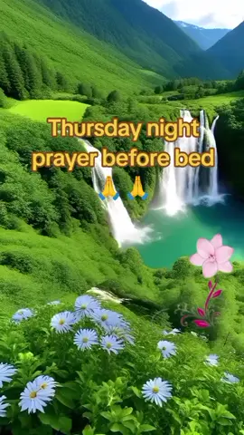 Thursday night prayer before bed. Goodnight family and friends. God bless you #disclaimer #dreams #prayers #kindness #gospel 