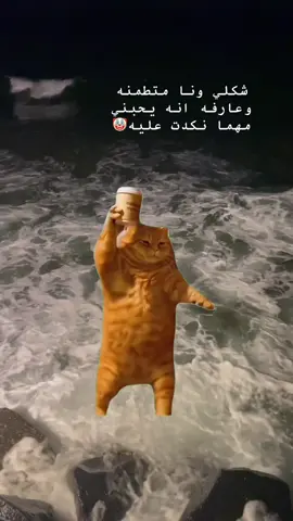 #👻 