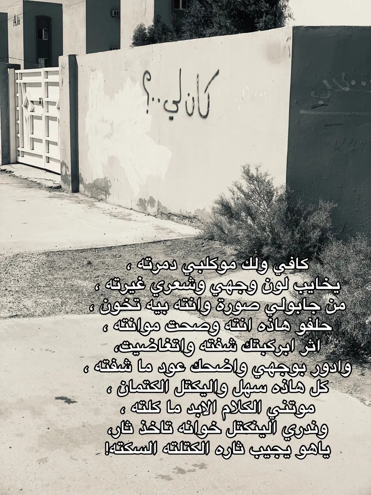 #كربلاء #بغداد #الحب #الخيانه #شعراء_وذواقين_الشعر_الشعبي🎸 #fyp 