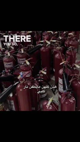 Fair on fair 🔥. #explore  #fyp  #مالي_خلق_احط_هاشتاقات  #foryou  #tiktok 