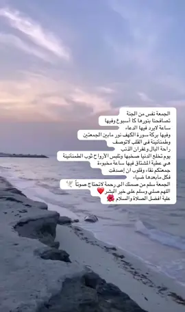 علية الصلاة والسلام 🌺