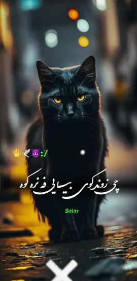 #CapCut Hu sir 🤚😇 #تمپلیت_جدید مـوږ خپله هــم سه فرشتې نه یــو💯❤️#تمپلیت_جدید #رپ_پشتو رپ_فارسی اهنګ_پشتو اهنک_افغانی  اهنک_ایران_غمگین_غاشقان creatorsearchinsights #oo__3salar_afg 