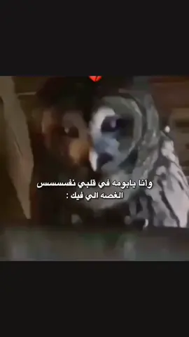 قيّلَ لي ذات مرة..  ألا تملِ من الجلوس وحدگِ !؟  . أنا لست وحدي.. أنا ممتلئة بأشياء لا يراها أحد 🚶🏻‍♀️.