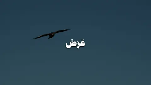 القارئ : عبدالله القرافي ، تُرِيدُونَ عَرَضَ الدُّنْيَا وَاللَّهُ يُرِيدُ الْآخِرَةَ ۗ وَاللَّهُ عَزِيزٌ حَكِيمٌ ،#قران #qoran #تذكير #quran #تلاوة #عبدالله_القرافي #سورة_الأنفال #سورة_الانفال #اسلام 