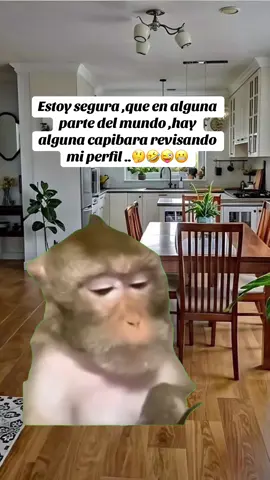 #Meme #MemeCut 