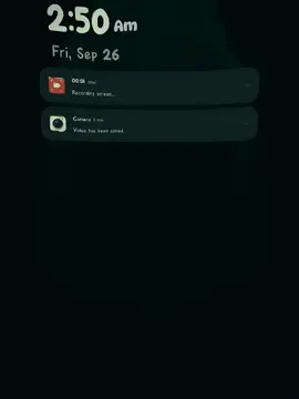 #CapCut 2.50