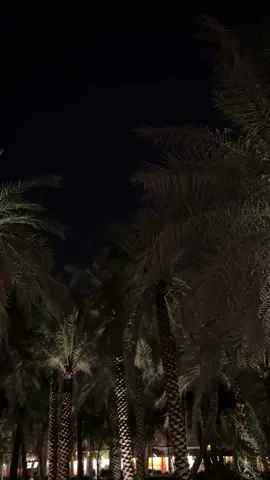 كان الطريق خالي  #riyadh #fyp #explor #diriyah #الدرعيه 