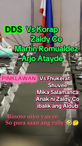 Kahit na ang na ang pinaglalaban mo para sa bansa, pag hindi ka Pink, Hindi ka belong sakanila💗💗 #floodcontrol #lenirobredo #pilipinasmuna #politika #fyp 