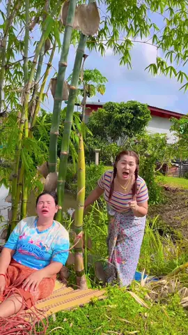ยายนอนเฝ้าหน่อไม้อย่างดี🤫 #เทรนวันนี้ #ดันขึ้นฟีด #funnyvideos #funny 