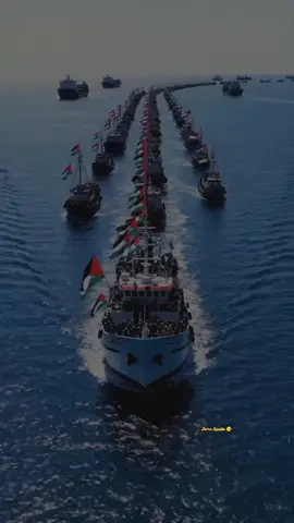 #freepalestine🇵🇸❤️ #qunutnazilah #freegaza  #globalsumudflotilla #aamiin 