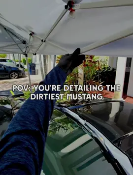 Detailing the dirtiest Mustang #fyp #satisfying #detailing #detailers #viral #fyppppppppppppppppppppppp #ford #mustang #asmr 