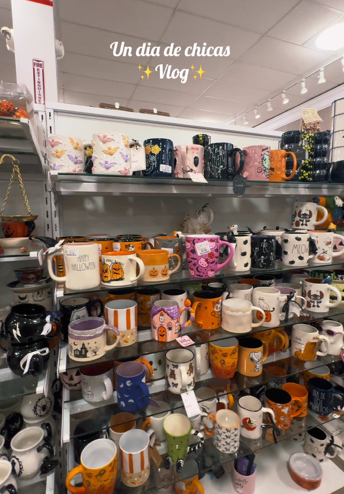 @HomeGoods has become our obsession 😍🛍️ @undiacontayde #mariahguerrero #parati #diadecompras #undiaenmivida #Vlog #haul #homegoods #goodwill #goodwillfinds #homegoodsthings #tiendas 