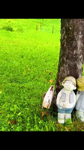beautiful places 🥰♥️🥰#viralvideo #foryoupage #unfrezzmyaccount #viral #foryou 