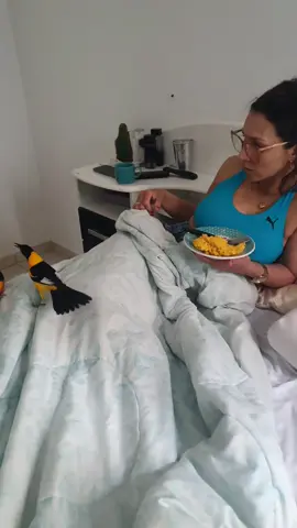 olha os dois atrás de cuz cuz🤣🤣#passaros #foryou #PetsOfTikTok #PetsOfTikTok 
