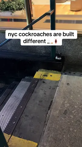 even the roaches get smoke breaks #nyc #lol #concretejungle 