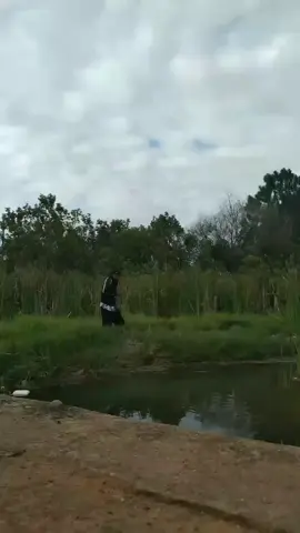 Laura no passinho 
