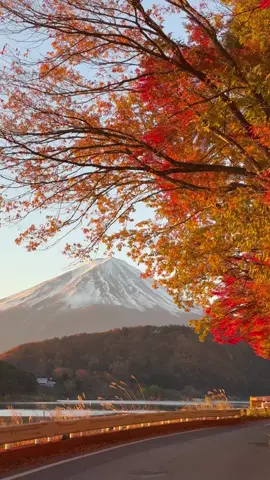秋🍂🍂🍂 #mtfuji #xaykenhtiktok #japan #nhatban #xuhuong 