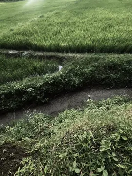 珍惜每一个瞬间，因为一眨眼，就成了回忆..! hãy trân trọng từng khoảnh khắc, vì chỉ cần chớp mắt một cái thôi cũng biến thành kỉ niệm  #cap #xh #fyp #tamtrang #chill 