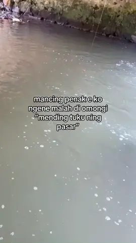 #storymancing #mancingliar #xybca #bader #tegek 